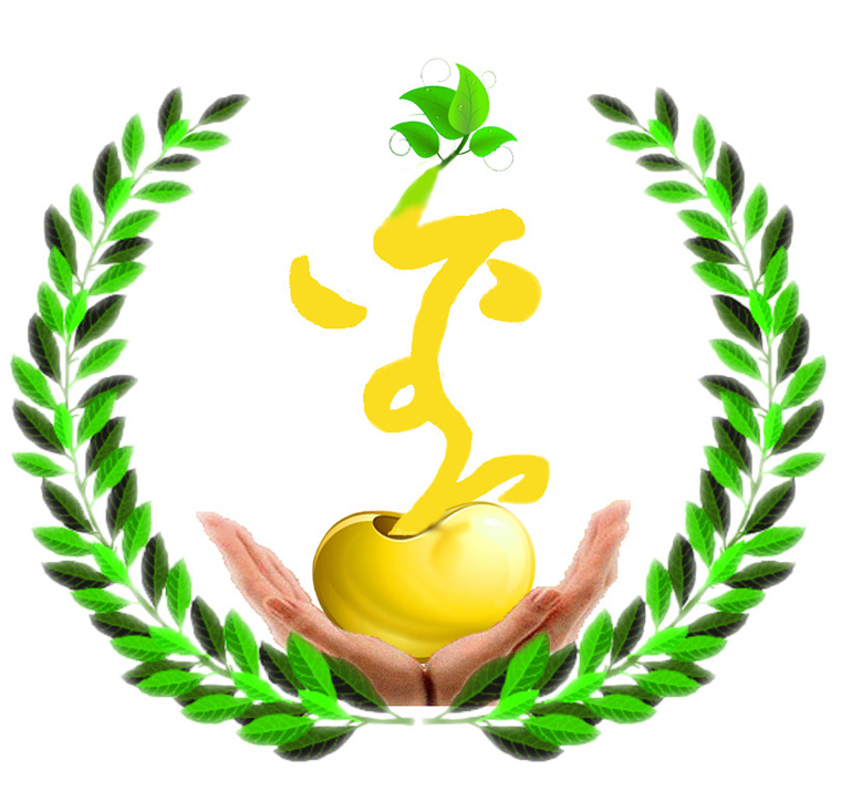 金融学院举办青年之声·"金种子"成立大会